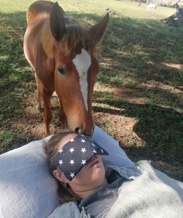 reiki horses kzn reiki horses kzn